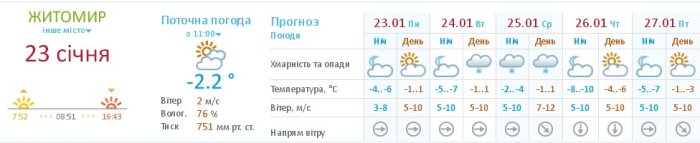 У Житомирську область цього тижня повертається сніг 