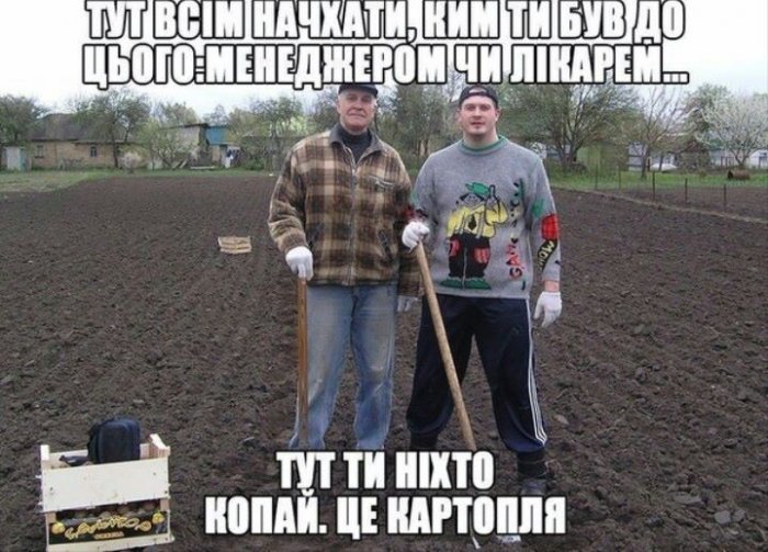 КАРИКАТУРА ДНЯ