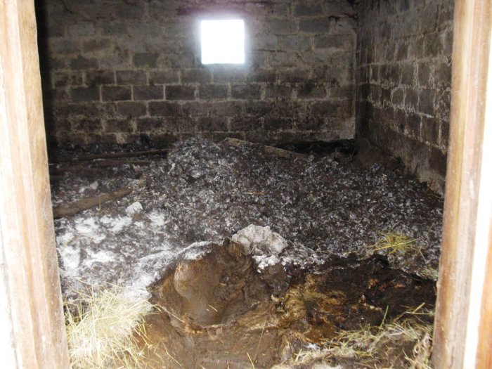 Жительница Радомышльского района устроила своим коровам голодомор и холокост вместе взятые