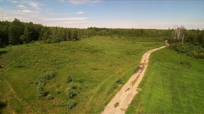«Копачі з вилами»: Як оточення Ляшка прибирає до рук бурштинові родовища Житомирщини