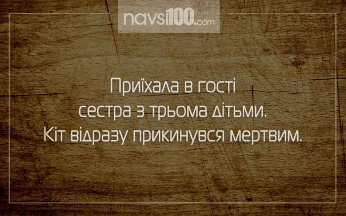 АНЕКДОТ ДНЯ