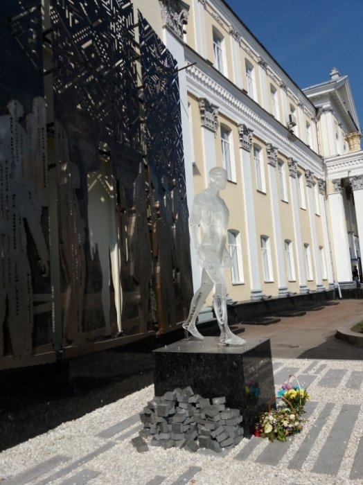 Анатолій Репіков: «Встановлений у Житомирі Пам’ятник Героям Небесної Сотні потребує вдосконалення»
