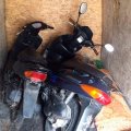 На Житомирщині поліцейські затримали серійного викрадача мопедів