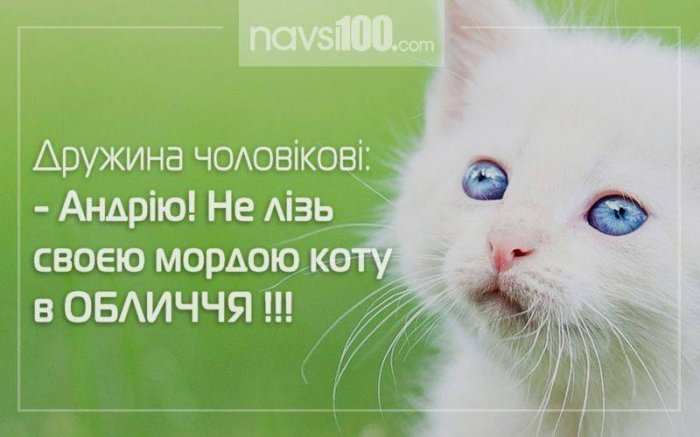 АНЕКДОТ ДНЯ