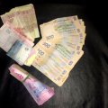 На Житомирщині поліція затримала майстра лісу, який за хабар дозволив порубку ялинок