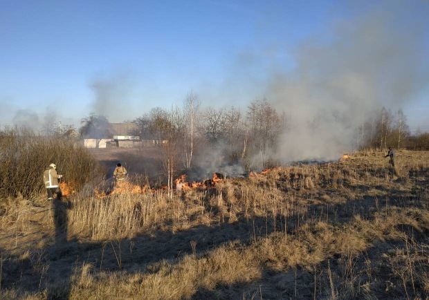 В Чуднівському районі спалювання бур’яну ледь не призвело до знищення цілого обійстя.ФОТО В Чуднівському районі спалювання бур’яну ледь не призвело до знищення цілого обійстя.ФОТО