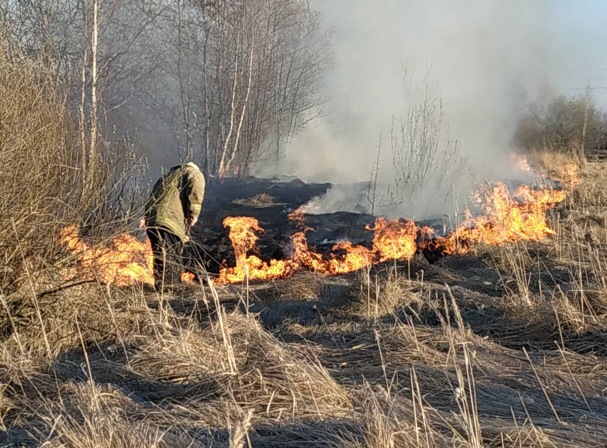 В Чуднівському районі спалювання бур’яну ледь не призвело до знищення цілого обійстя.ФОТО В Чуднівському районі спалювання бур’яну ледь не призвело до знищення цілого обійстя.ФОТО