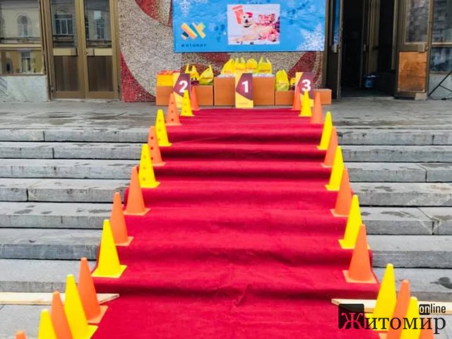 В центрі Житомира дефілювали «модні хвости». ФОТО