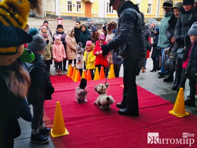 В центрі Житомира дефілювали «модні хвости». ФОТО