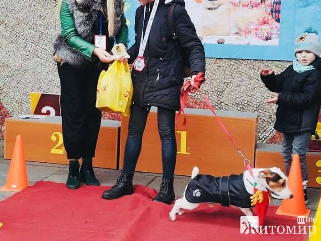 В центрі Житомира дефілювали «модні хвости». ФОТО