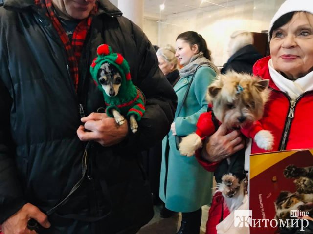 В центрі Житомира дефілювали «модні хвости». ФОТО