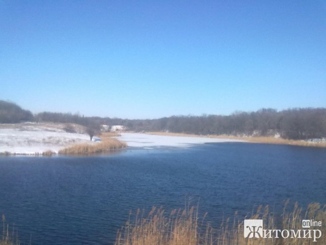 У Бердичеві невідомий чоловік кинув 12-річну дівчинку в ставок: поліція з’ясовує обставини події