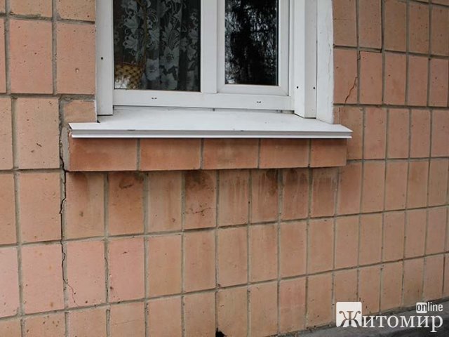 У Романові встановили новорічну ялинку, яку зрізали біля приміщення управління соцпраці РДА