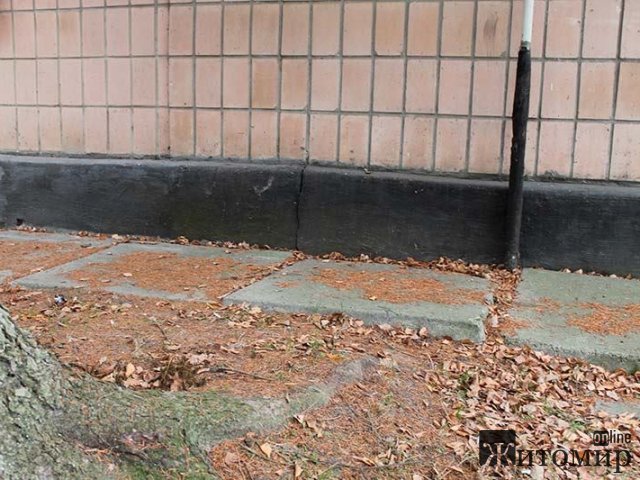 У Романові встановили новорічну ялинку, яку зрізали біля приміщення управління соцпраці РДА