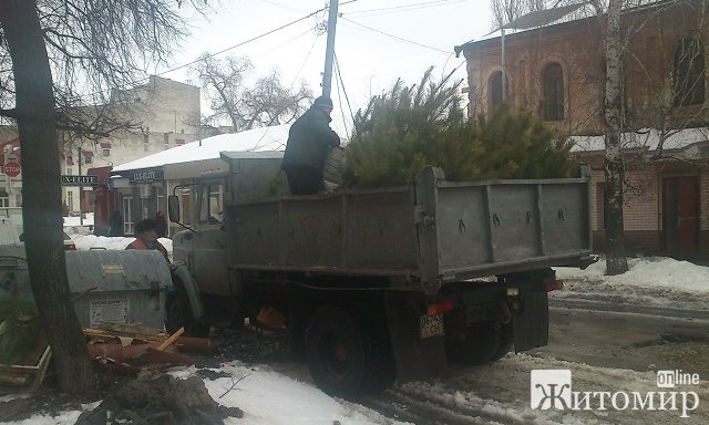 Автомобіль з ялинками без документів зупинили патрульні в Житомирській області