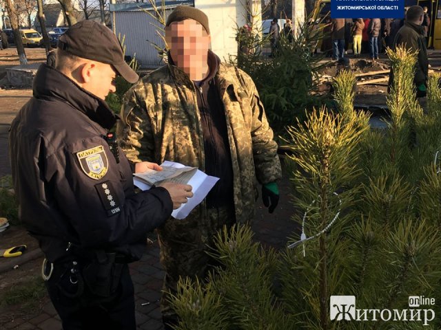 У Житомирі патрульні перевіряли місця продажу новорічних дерев