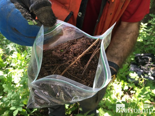 Фахівці виявили перевищення вмісту кишкової палички в ґрунті на території дошкільних закладів у 5 районах Житомирської області