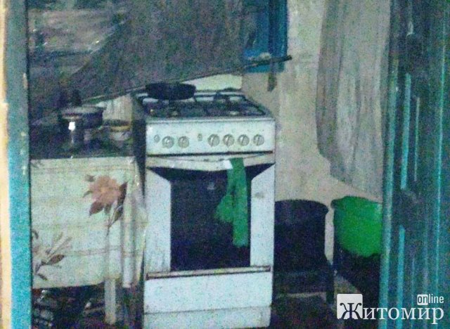 За добу в Житомирській області горіли чотири житлові будинки. ФОТО