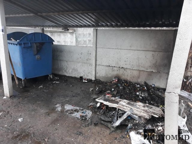 У селищі поблизу Житомира рятувальники гасили вогонь у підпаленому сміттєвому контейнері вартістю близько 6 тис. грн