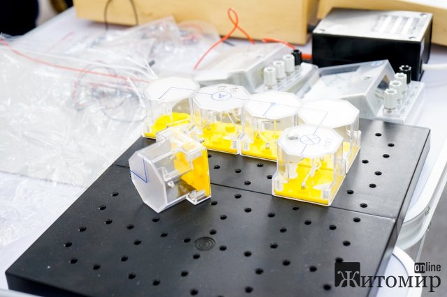 У Житомирі закинутий в центрі міста завод хочуть перетворити на інноваційний парк