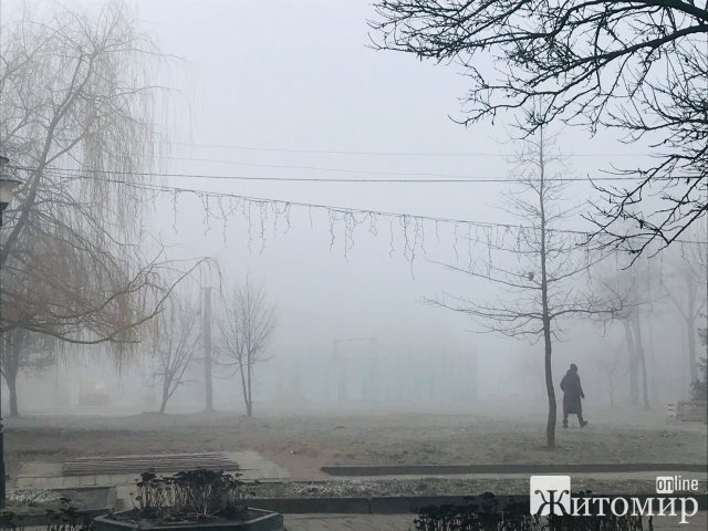 Туманний ранок на Житомирщині. ФОТО