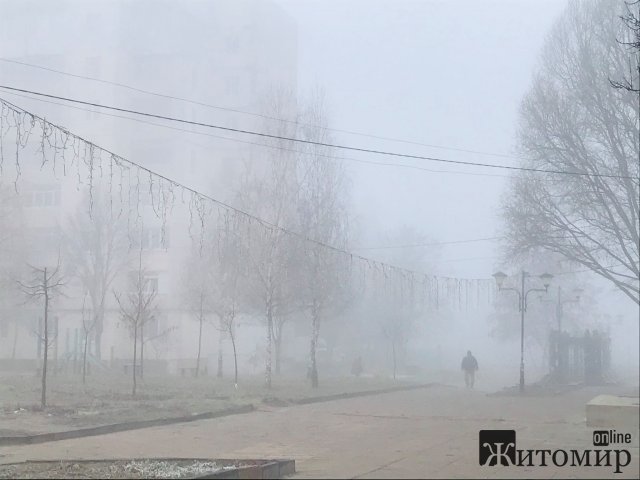 Туманний ранок на Житомирщині. ФОТО