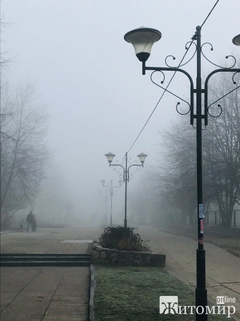 Туманний ранок на Житомирщині. ФОТО