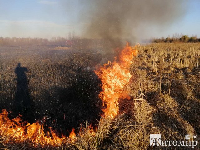 У Коростені рятувальники гасили суху траву, вогонь з якої ледь не перекинувся на кладовище