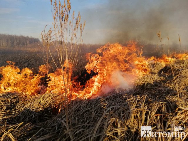  За добу в Житомирі горіли смітники, а в області - суха трава