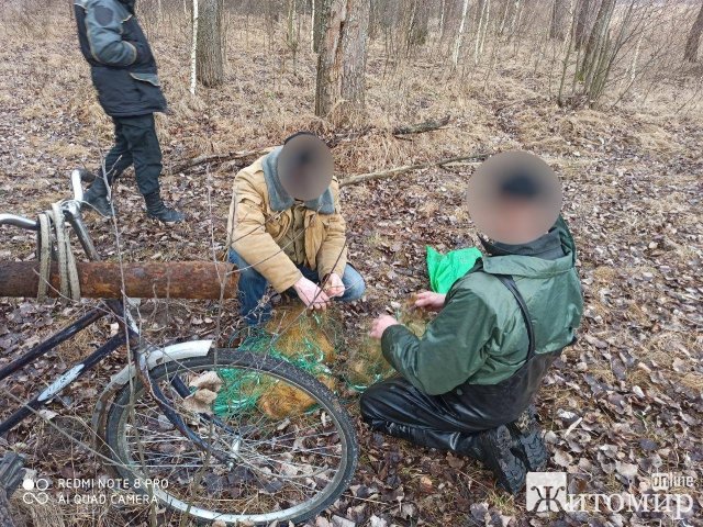 Двоє чоловіків у Житомирській області "наловили" сіткою плотви на понад 4,5 тис. грн