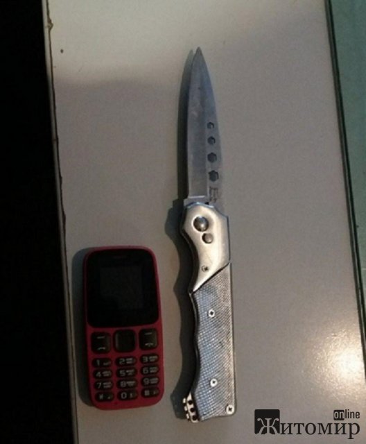  За місяць співробітники Служби судової охорони попередили ще більше ста спроб пройти до судів Житомира із пістолетами, ножами та газовими балончиками