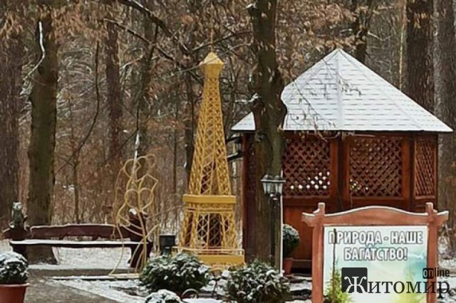 У лісосмузі поблизу Житомира з