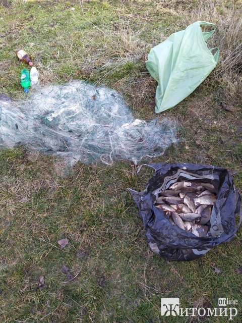 На Житомирщині небайдужий громадян викликав патруль на осіб, які ловили рибу сіткою