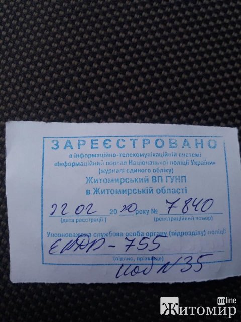 Житомиряни звинувачують голову ОСББ у побитті кота. ФОТО