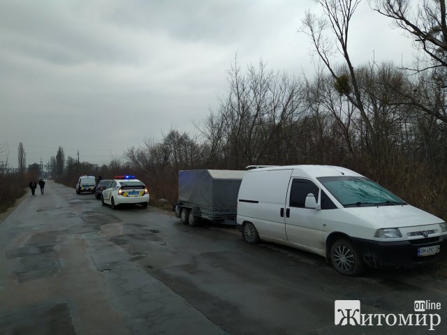 У Житомирі затримали осіб, які нарізали близько 40 дерев вільхи та вантажили у машину. ФОТО