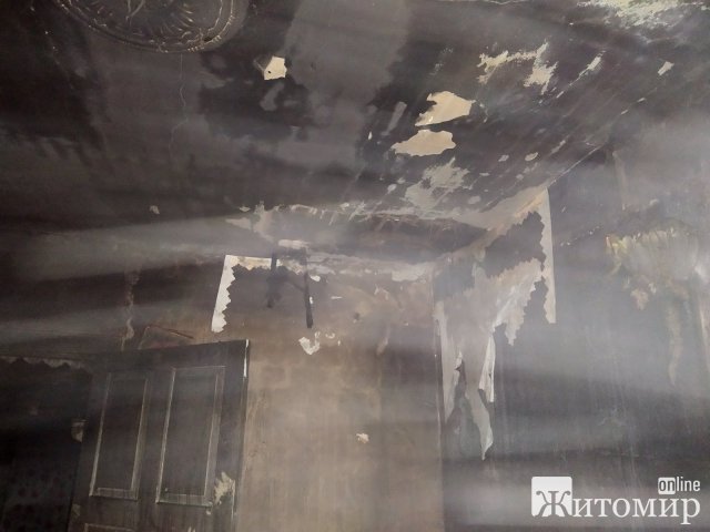  У селі Житомирської області горів цегляний будинок. ФОТО