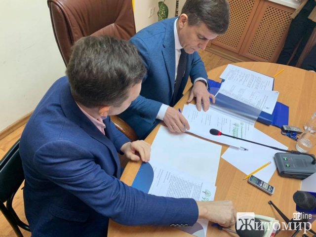 Мер Житомира каже, що висадити мільйон дерев за добу - можливо