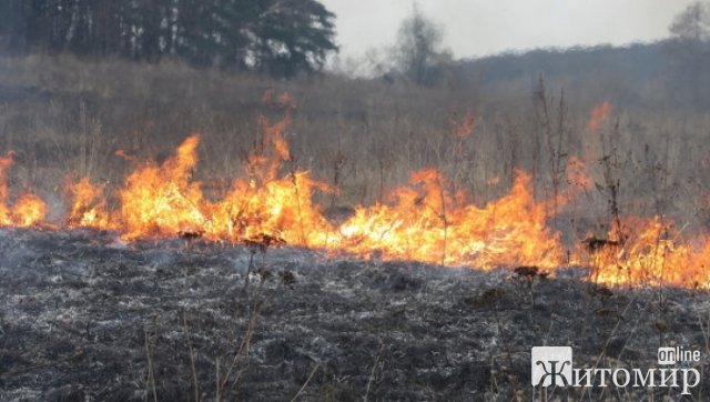 За добу рятувальники гасили в Житомирі на Суриній Горі загорання сміття, а в Олевському районі - торф
