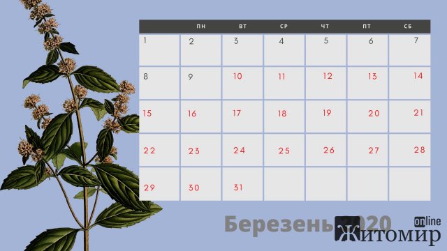 Водоканал просить житомирян передавати показники лічильників