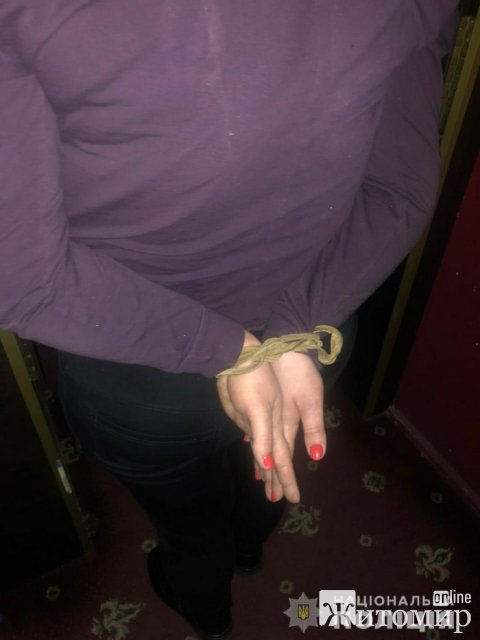  На Київщині затримали групу нападників з Житомирської області, які пограбували пункт обміну валют. ФОТО