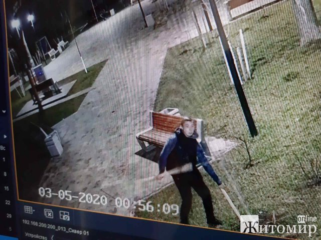 У Житомирі встановили особу, яка в сквері на Лятошинського зламала дерево