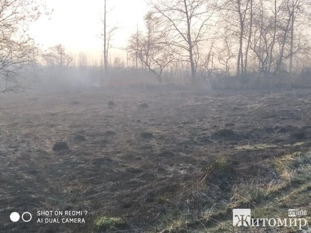 Бердичів у диму: люди продовжують спалювати суху траву. ФОТО