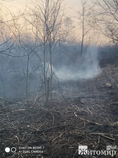 Бердичів у диму: люди продовжують спалювати суху траву. ФОТО