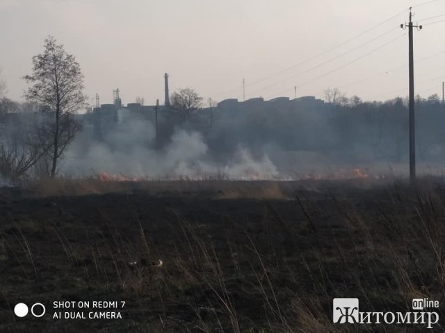 Бердичів у диму: люди продовжують спалювати суху траву. ФОТО