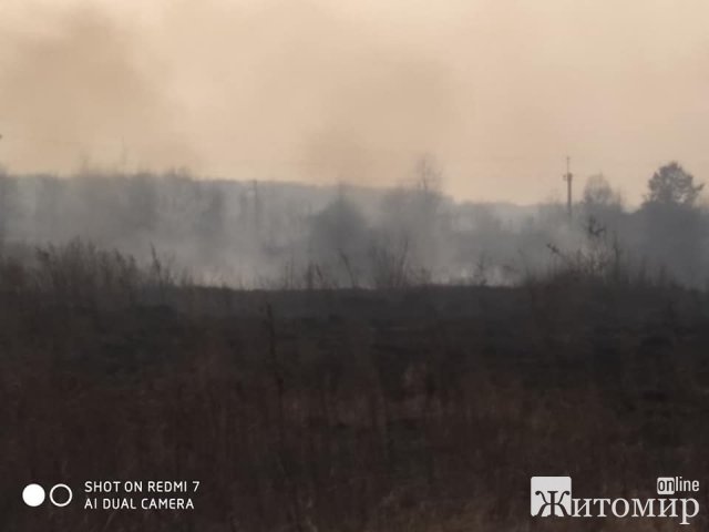 Бердичів у диму: люди продовжують спалювати суху траву. ФОТО