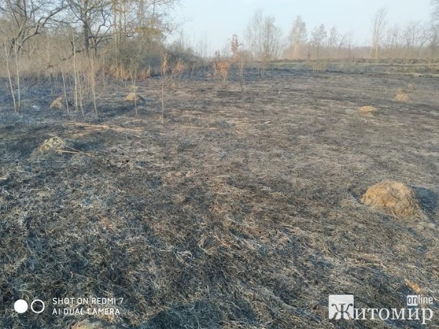 Бердичів у диму: люди продовжують спалювати суху траву. ФОТО