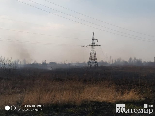 Бердичів у диму: люди продовжують спалювати суху траву. ФОТО