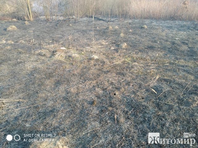 Бердичів у диму: люди продовжують спалювати суху траву. ФОТО
