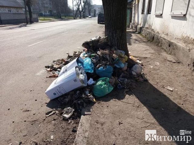 У Житомирі під деревами валяються гори сміття. ФОТО