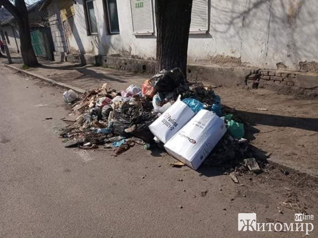 У Житомирі під деревами валяються гори сміття. ФОТО